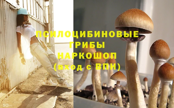 альфа пвп Армянск