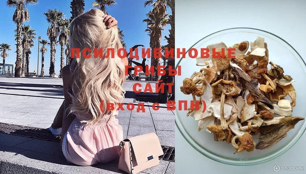 молекула духа Арсеньев