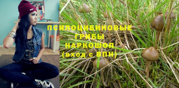 молекула духа Арсеньев