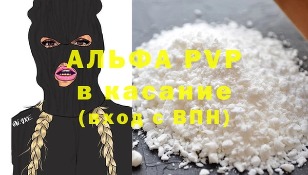 молекула духа Арсеньев