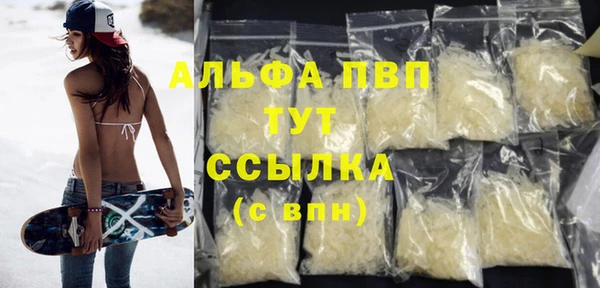 молекула духа Арсеньев