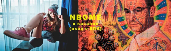 молекула духа Арсеньев